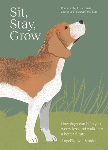 Sit Stay Growhow Dogs Can Help You Worry Less And Walk Int