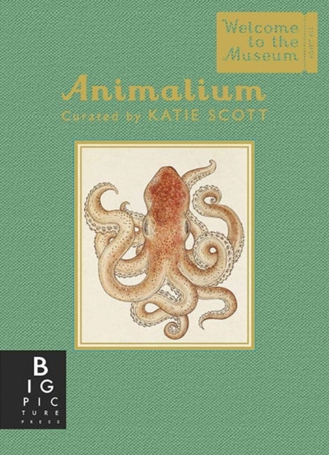 Animalium (mini Gift Edition)
