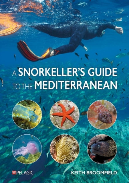 A Snorkeller’S Guide To The Mediterranean A Photographic Id