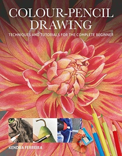 Colour-pencil Drawing