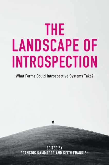 The Landscape Of Introspectionwhat Forms Could Introspective