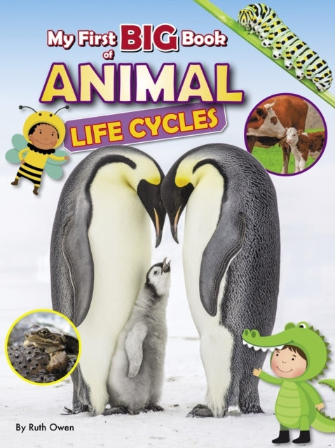 MY FIRST BIG BOOK OF ANIMAL LIFE CYCLES