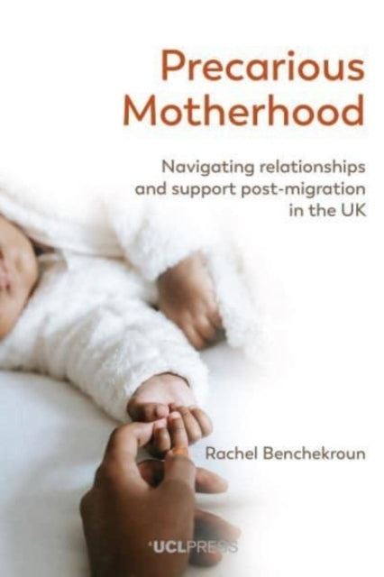 Precarious Motherhoodnavigating Relationships And Support Po