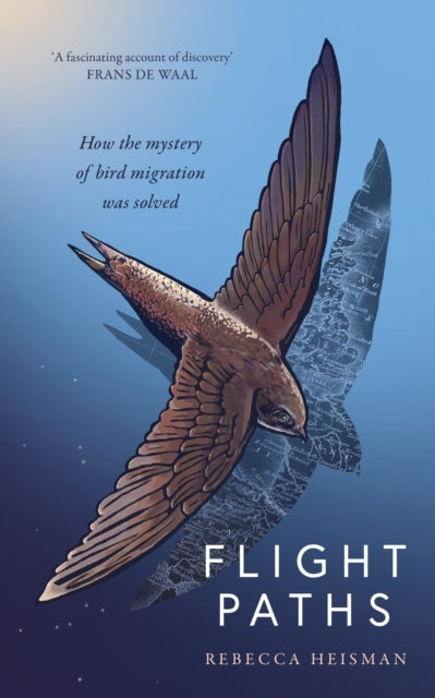 Flight Pathshow The Mystery of Bird Migration Was Solved