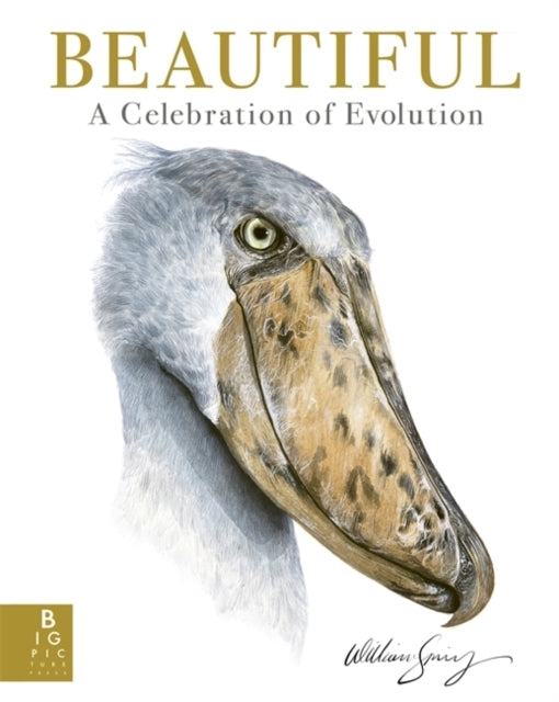 Beautifula Celebration of Evolution