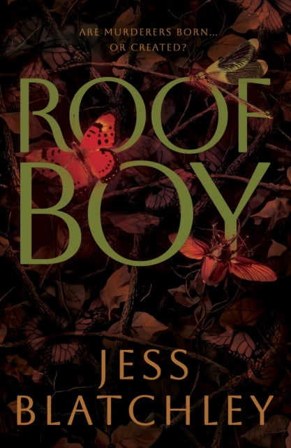 Roofboy