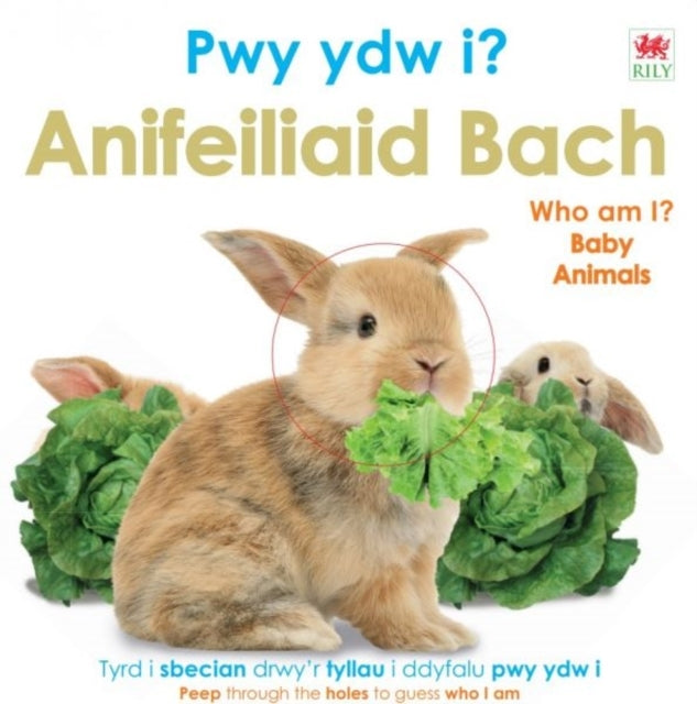 Pwy Ydw I? Anifeiliaid Bach / Who Am I? Baby Animals