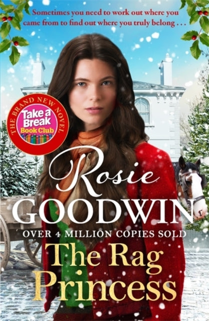 THE RAGS TO RICHES SERIES THE HEARTWARMING SUNDAY TIMES BESTSELLER FROM BRITAIN'S BEST-LOVED SAGA AUTHOR