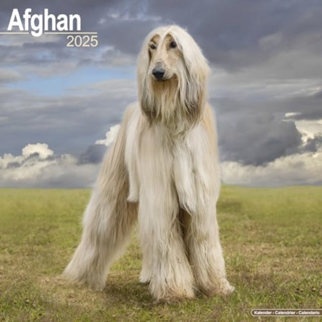 Afghan Calendar 2025 Square Dog Breed Wall Calendar - 16 Mon