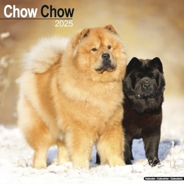 Chow Chow Calendar 2025 Square Dog Breed Wall Calendar - 16