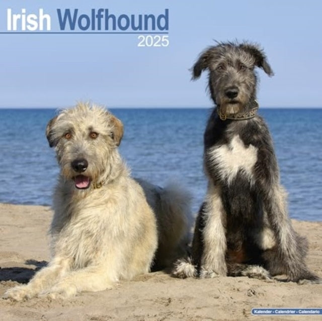 Irish Wolfhound Calendar 2025 Square Dog Breed Wall Calendar