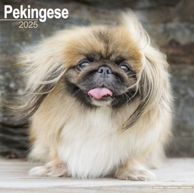 Pekingese Calendar 2025 Square Dog Breed Wall Calendar - 16