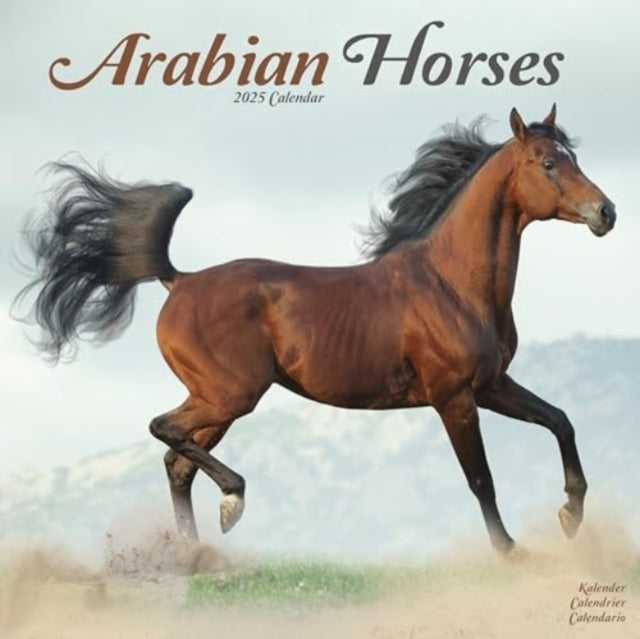 Arabian Horses Calendar 2025 Square Horses Wall Calendar - 1
