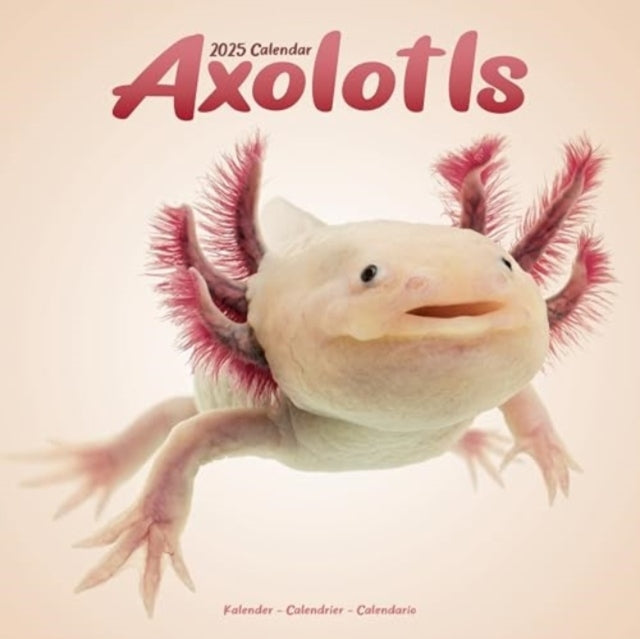 Axolotls Calendar 2025 Square Animal Wall Calendar - 16 Mont