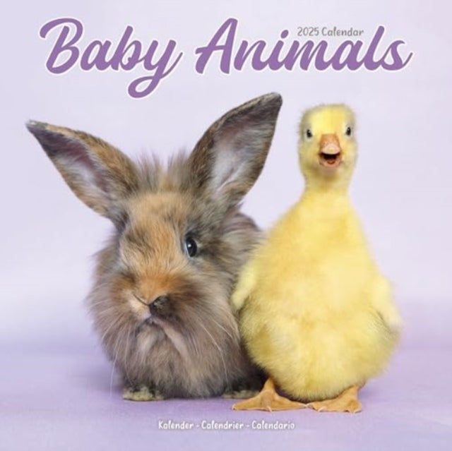 Baby Animals Calendar 2025 Square Animal Wall Calendar - 16