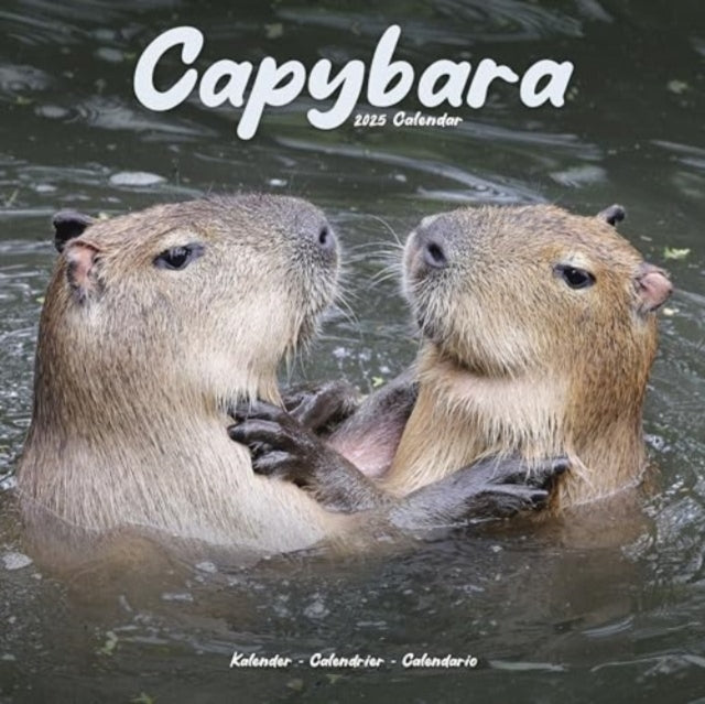 Capybara Calendar 2025 Square Animal Wall Calendar - 16 Mont