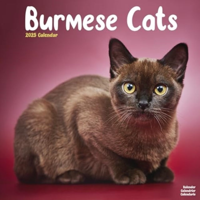 Cats - Burmese Calendar 2025 Square Cat Wall Calendar - 16 M