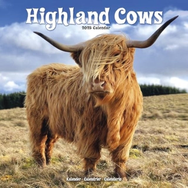 Highland Cows Calendar 2025 Square Animal Wall Calendar - 16