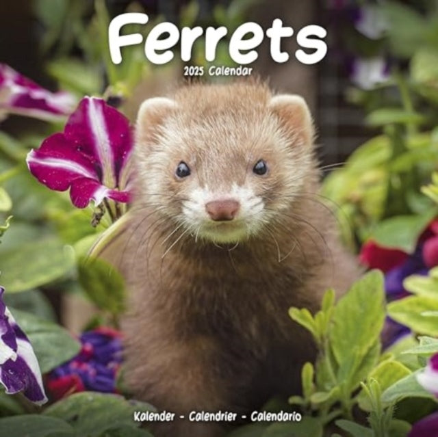 Ferrets Calendar 2025 Square Animal Wall Calendar - 16 Month