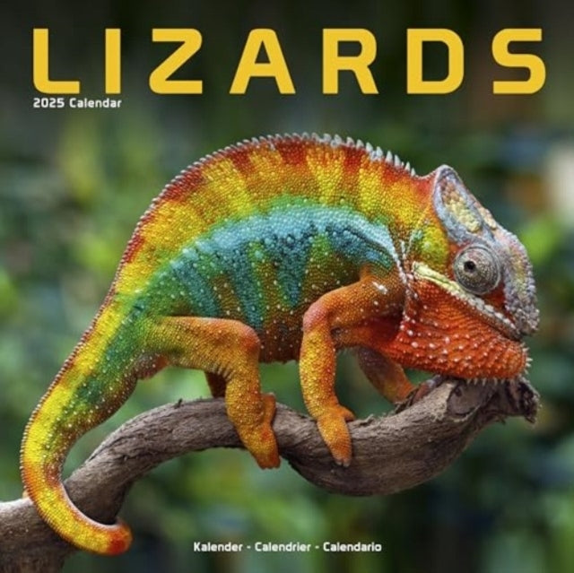 Lizards Calendar 2025 Square Animal Wall Calendar - 16 Month