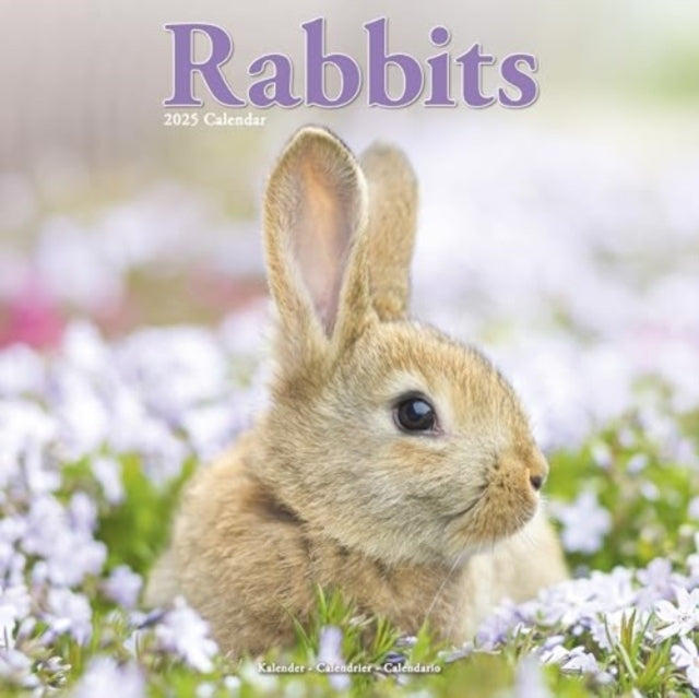 Rabbits Calendar 2025 Square Animal Wall Calendar - 16 Month