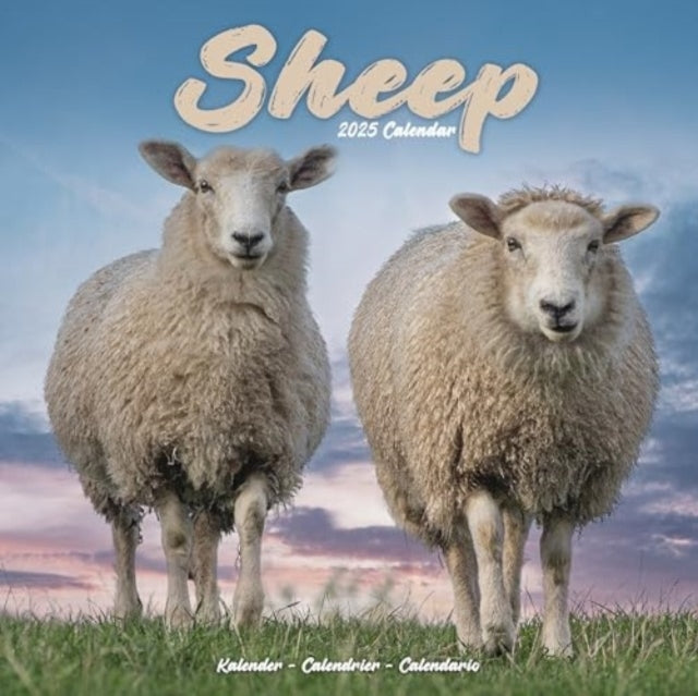 Sheep Calendar 2025 Square Farm Animal Wall Calendar - 16 Mo