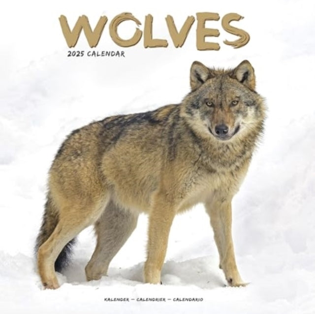 Wolves Calendar 2025 Square Animal Wall Calendar - 16 Month