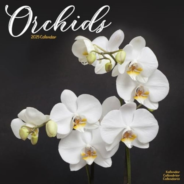 Orchids Calendar 2025 Square Flowers Wall Calendar - 16 Mont