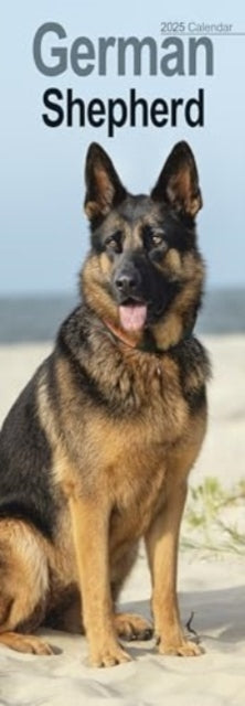 German Shepherd Slim Calendar 2025 Dog Breed Slimline Calend