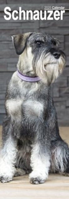 Schnauzer Slim Calendar 2025 Dog Breed Slimline Calendar - 1
