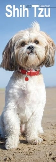 Shih Tzu Slim Calendar 2025 Dog Breed Slimline Calendar - 12