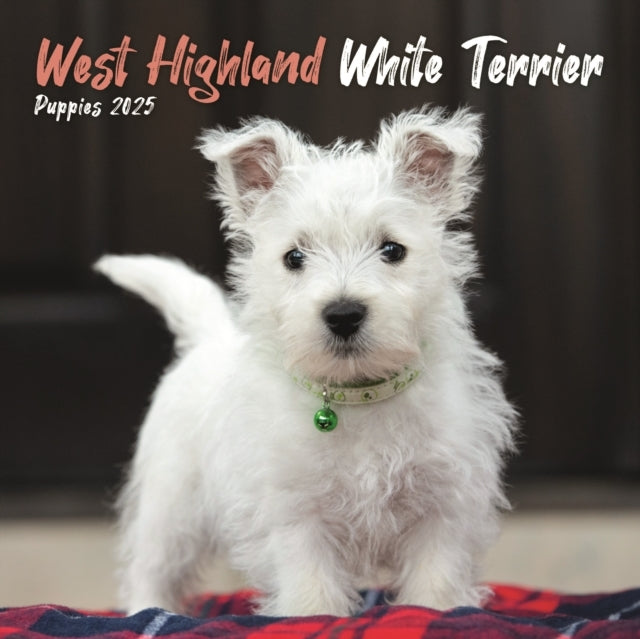 West Highland White Terrier Puppies Square Mini Calendar 202