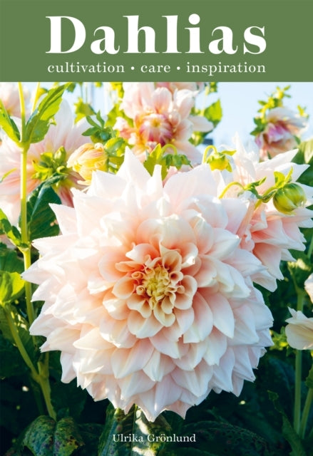 Dahliasinspiration Cultivation and Care for 222 Varieties