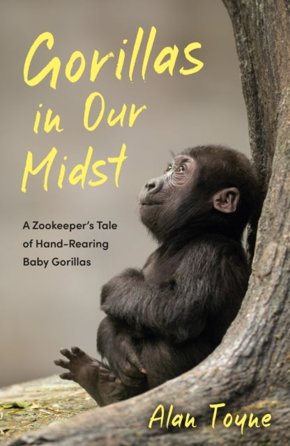 Gorillas in Our Midsta Zookeepers Tale of Hand-rearing Baby
