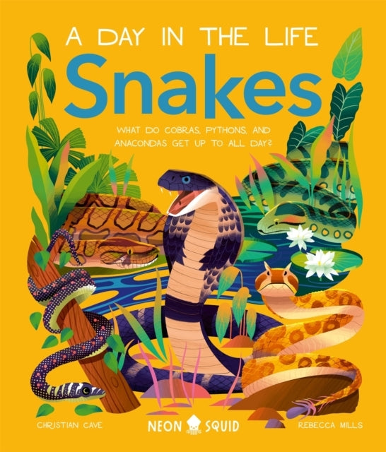 Snakes A Day In The Lifewhat Do Cobras Pythons and Anacond