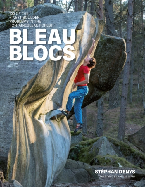 BLEAU BLOCS