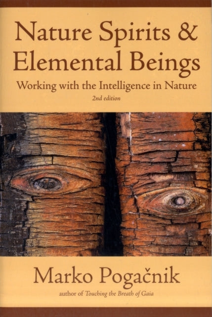 Nature Spirits & Elemental Beingsworking With The Intelligen