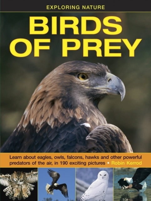 Exploring Nature Birds of Prey
