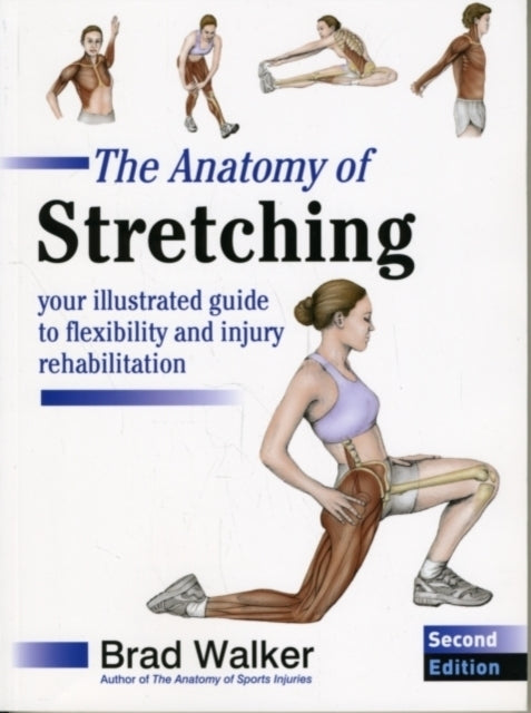 The Anatomy Of Stretchingyour Illustrated Guide To Flexibili