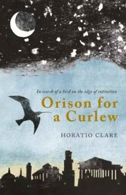 Orison For A Curlewin Search Of A Bird On The Edge Of Extinc