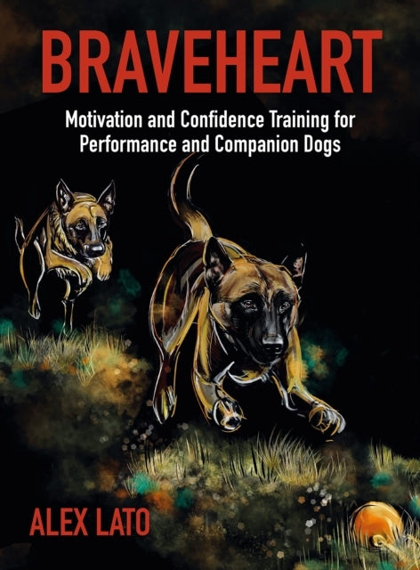 Braveheartmotivation and Confidence Training For Performance