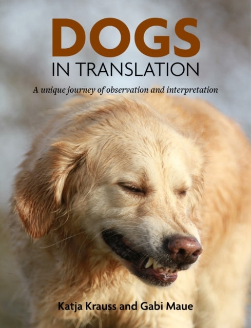 DOGS IN TRANSLATION