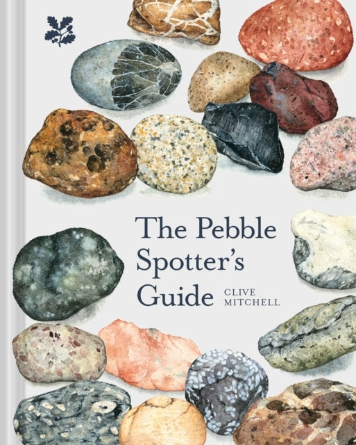 The Pebble Spotter'S Guide