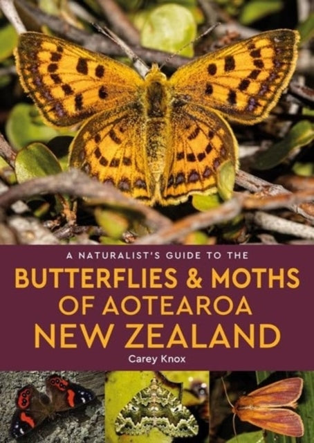 A Naturalist's Guide To The Butterflies & Moths of Aotearoa