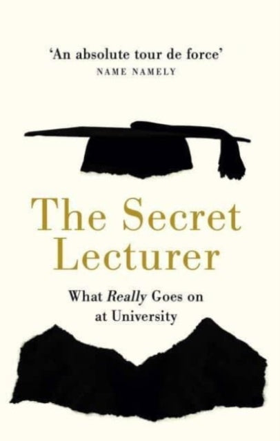The Secret Lecturerwhat Really Goes On At University