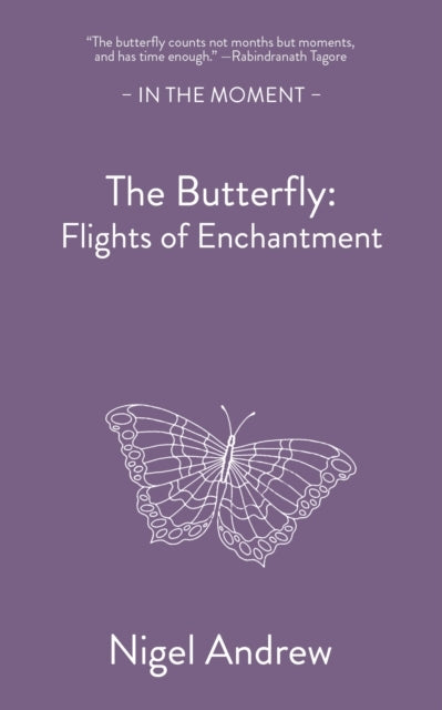 The Butterflyflights Of Enchantment