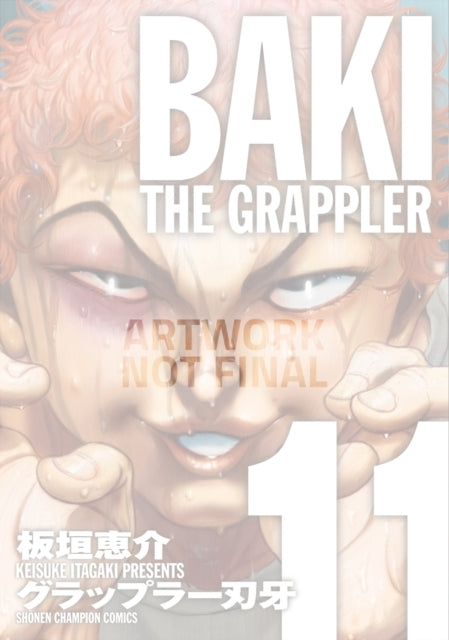 Baki the Grappler Vol. 11