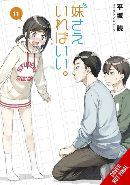 A Sister's All You Need. , Vol. 11 (light Novel)