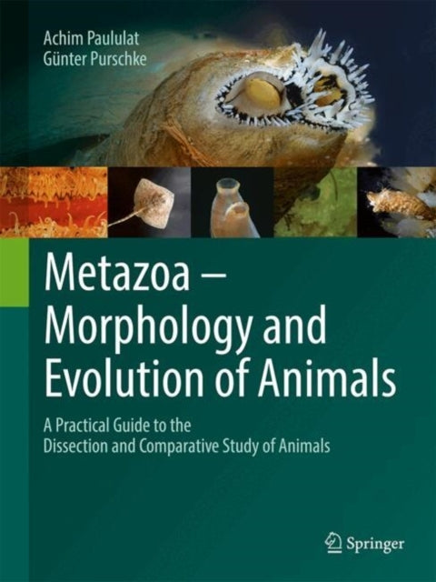 Metazoa Morphology and Evolution of Animalsa Practical Gui
