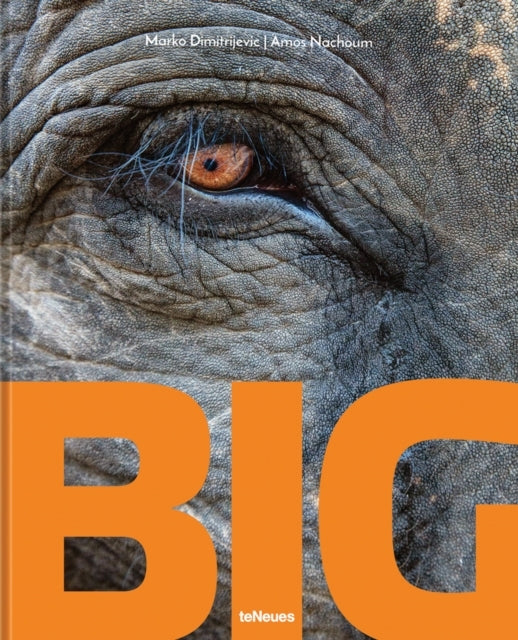 Biga Photographic Album of The World's Largest Animals